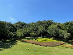 -广州市白云山风景名胜区