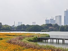 -海珠湖公园
