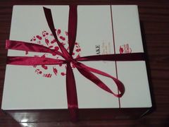 -维尔纳斯·生日蛋糕动物奶油冰淇淋蛋糕(人大店)