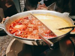 -湊湊火锅·茶憩(新中关购物中心店)