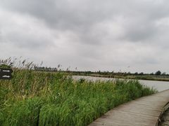 -盐城丹顶鹤湿地生态旅游区