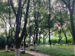 -荆川公园