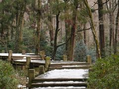 -东天目山风景区