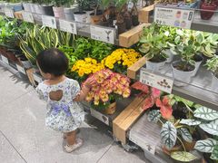 -鹿岛生活(熙地港店)