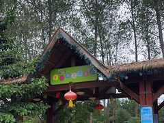 -合肥滨湖国家森林公园