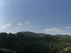 -西湖风景区十里琅珰-五云山