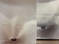 -BLACKSWAN黑天鹅(环球店)