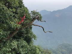 -青城山
