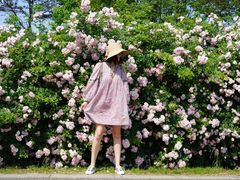 -大塘金香草谷