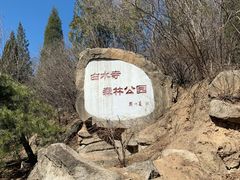 -白水寺森林公园