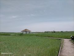 -西青郊野公园
