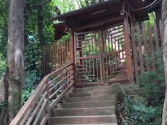 -仙岳公园