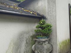 -青竺·青竹茶舍(断桥店)