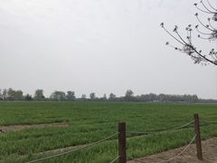 -汉长安城未央宫国家考古遗址公园