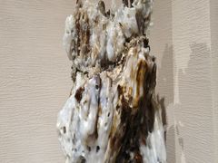 -游龙石文化科普馆