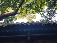 -南京市民俗博物馆(甘熙宅第)