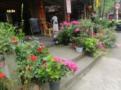 -龙翔山庄雷鸡肉(青城后山泰安古镇店)