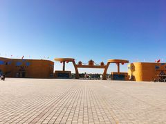 -金塔沙漠胡杨林景区