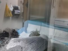 -谐和贝康宠物医院24小时·宠保定点(急重症转诊中心)