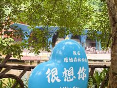 -西双版纳原始森林公园