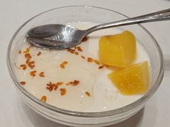 自制杏仁豆腐-天龙宝严素食馆(大兴善寺店)