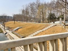 -东坝千亩湖公园