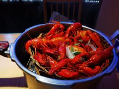 高压锅蒸龙虾-蚝翅·海鲜粥·烧烤·宁夏滩羊季(玉米楼店)