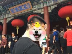 -珠海圆明新园