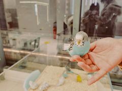 -怪兽屋·羊驼·猫咖·狗咖(俊华广场店)