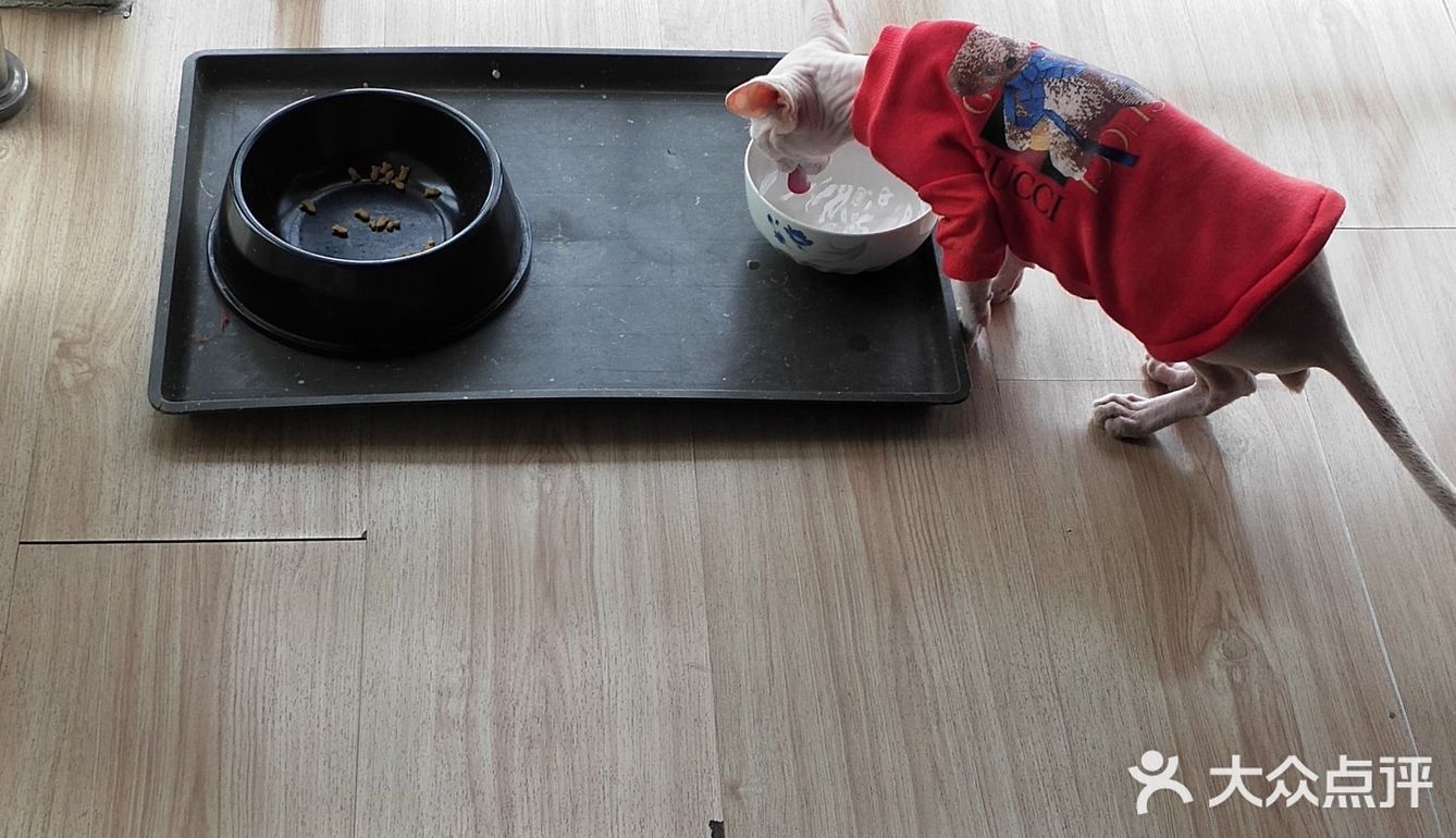 位于小寨东路一又二分之一公寓B座1009 大叔是个爱