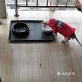 位于小寨东路一又二分之一公寓B座1009 大叔是个爱