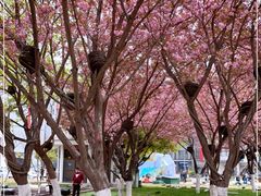 -西安创业咖啡街区