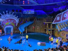 -烟台海昌鲸鲨海洋公园