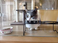 -Me Coffee下午茶艺术空间