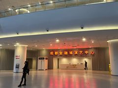 -成都金融城演艺中心