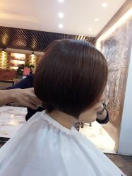 picture-木马造型