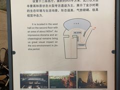 -金沙遗址博物馆