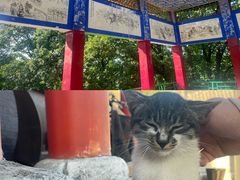 -萨尔浒风景区