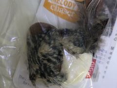 -宠颐生中康贝怡动物医院