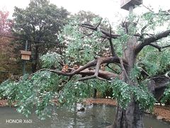 -西霞口神雕山野生动物世界