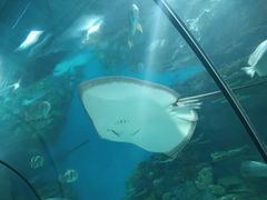 -福州罗源湾海洋世界旅游区