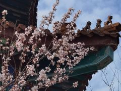 -白水寺森林公园