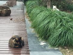 -同济大学本部学苑饮食广场