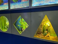 -嘉兴海底世界