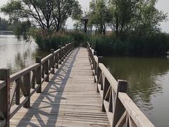 -野鸭湖国家湿地公园