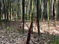-竹泉村旅游度假区