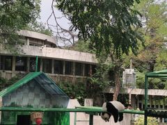 -天津市动物园