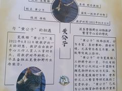-青藏高原野生动物园