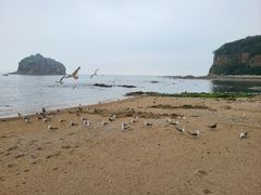 -棒棰岛宾馆景区