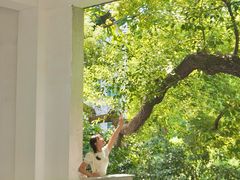 -湖北美术学院(昙华林校区)